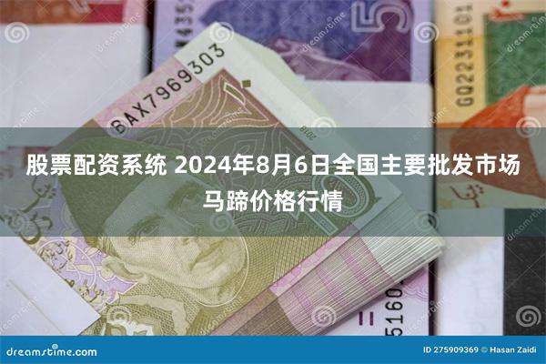 股票配资系统 2024年8月6日全国主要批发市场马蹄价格行情