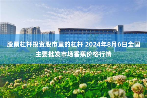 股票杠杆投资股市里的杠杆 2024年8月6日全国主要批发市场香蕉价格行情