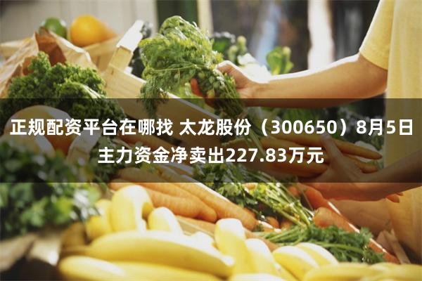 正规配资平台在哪找 太龙股份（300650）8月5日主力资金净卖出227.83万元