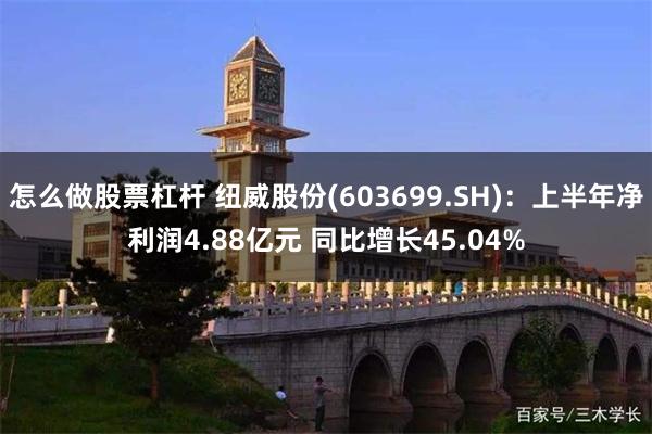 怎么做股票杠杆 纽威股份(603699.SH)：上半年净利润4.88亿元 同比增长45.04%