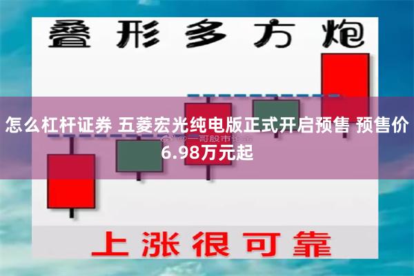 怎么杠杆证券 五菱宏光纯电版正式开启预售 预售价6.98万元起