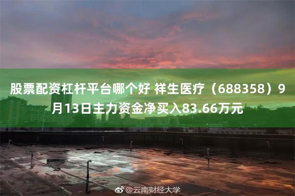 股票配资杠杆平台哪个好 祥生医疗（688358）9月13日主力资金净买入83.66万元