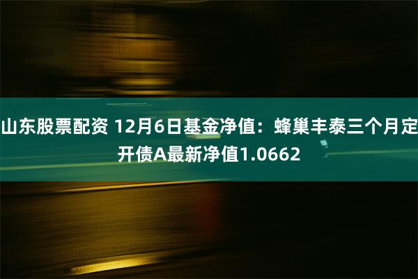 山东股票配资 12月6日基金净值：蜂巢丰泰三个月定开债A最新净值1.0662