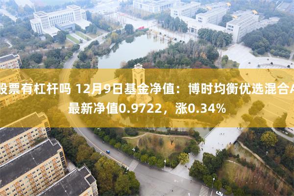 股票有杠杆吗 12月9日基金净值：博时均衡优选混合A最新净值0.9722，涨0.34%