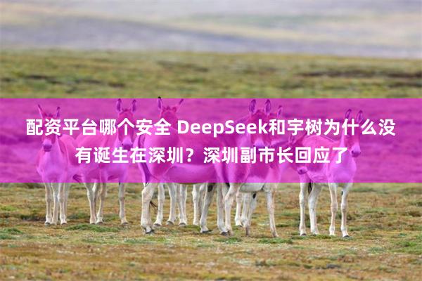 配资平台哪个安全 DeepSeek和宇树为什么没有诞生在深圳？深圳副市长回应了