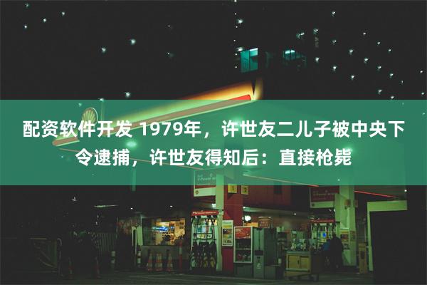 配资软件开发 1979年，许世友二儿子被中央下令逮捕，许世友得知后：直接枪毙