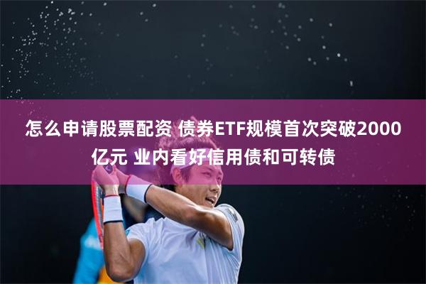 怎么申请股票配资 债券ETF规模首次突破2000亿元 业内看好信用债和可转债