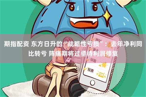 期指配资 东方日升的“战略性亏损”：去年净利同比转亏 阵痛期将过亟待利润修复