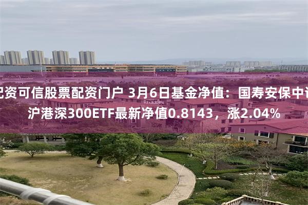 配资可信股票配资门户 3月6日基金净值：国寿安保中证沪港深300ETF最新净值0.8143，涨2.04%