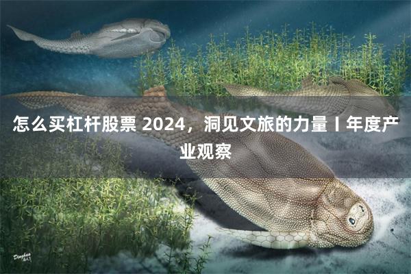 怎么买杠杆股票 2024，洞见文旅的力量〡年度产业观察